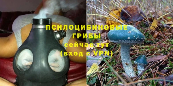 герыч Алзамай