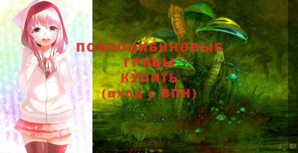 герыч Алзамай