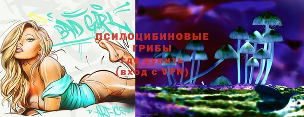 МДПВ Алексин