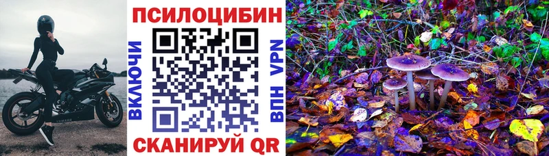 Галлюциногенные грибы Cubensis  закладки  Новоалександровск 
